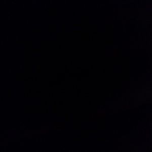 Meet your Posher, Ty